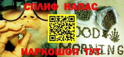 apvp Бердск