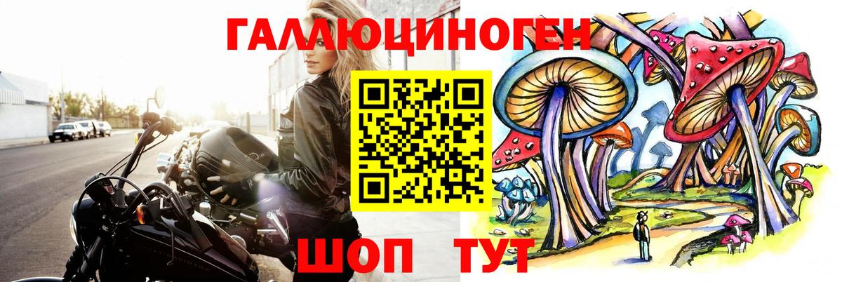 Павлово  Галлюциногенные грибы MAGIC MUSHROOMS  купить наркотик  Вход с VPN 